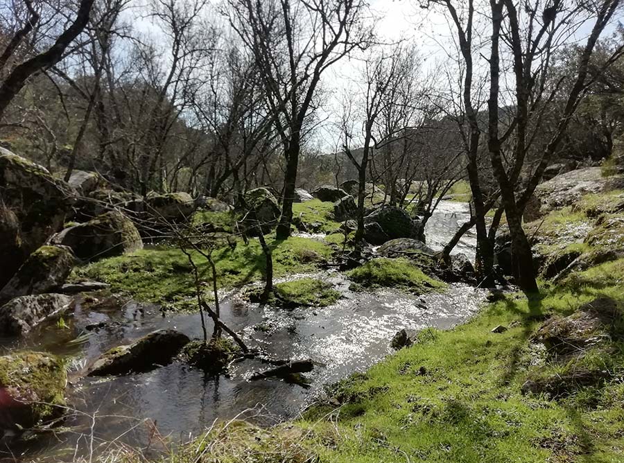 arroyo