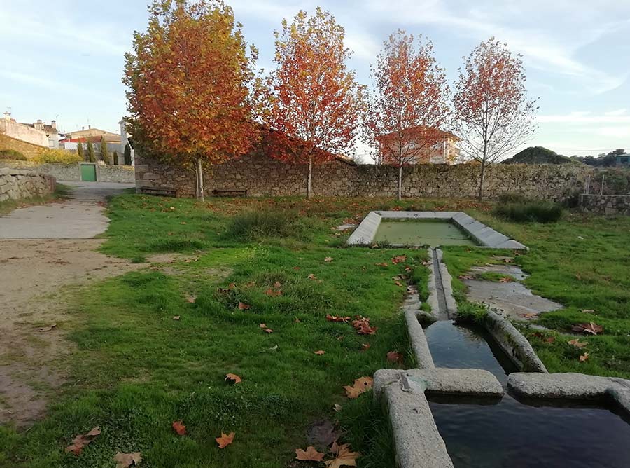 caño